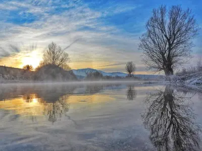 a reflection of a tree in the water at sunset at Apartman Potok in Livno