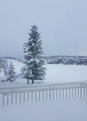 a tree in the snow next to a fence at Apartman Potok in Livno