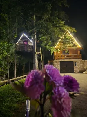 a house with purple flowers in front of it at Etno selo BISTROVO in Vitez
