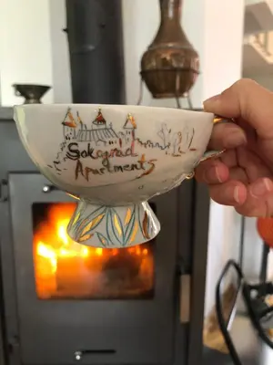 a person holding a bowl with a ship on it at Sokograd Attic in Šipovo