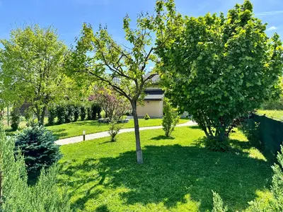 a tree in the middle of a green yard at Sunrise Guest House in Bihać