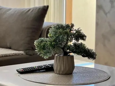 a plant sitting on a table next to a remote control at STENI Apartman in Doboj