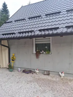 a house with three ducks sitting outside of it at Vikendica za odmor in Busovača