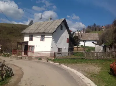a white house on the side of a road at Apartments Baba Luce in Strica