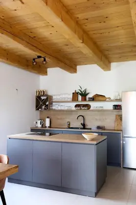 a kitchen with stainless steel appliances and wooden ceilings at Vikendica Krcmarice- Banja Luka in Banja Luka