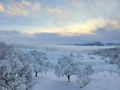 a field covered in snow with trees and clouds at Apartman Stupe in Livno