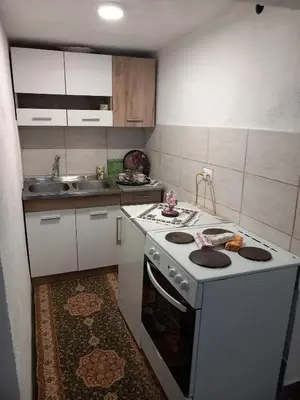 a small kitchen with a stove and a sink at Kuća za odmor-Vikendica- in Visoko
