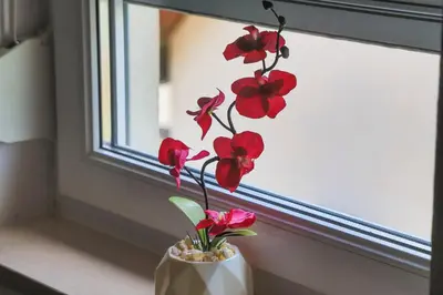 a vase with red flowers sitting in a window at APARTMAN NAAJ in Bihać