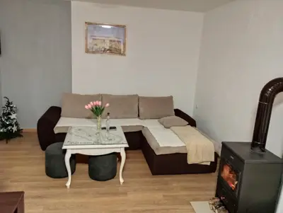 a living room with a couch and a stove at Vikendica Ninic in Laktaši