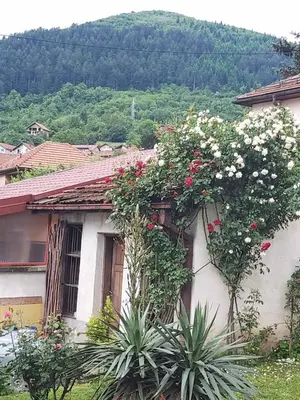 a house with flowers on the side of it at Apartment Kraljevac in Visoko