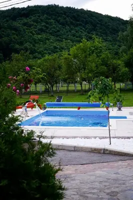 a swimming pool in a park with a tree at Villa Tasnim in Dobrenica