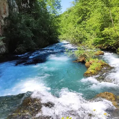 a river with blue water and green trees at Bungalow Fly Fishing Kljuc River Sanica in Zolaći