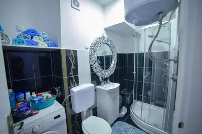 a bathroom with a shower and a toilet and a mirror at Apartman Kan in Bihać