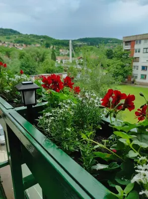 a garden with red flowers on a fence at Perfect Place in Visoko