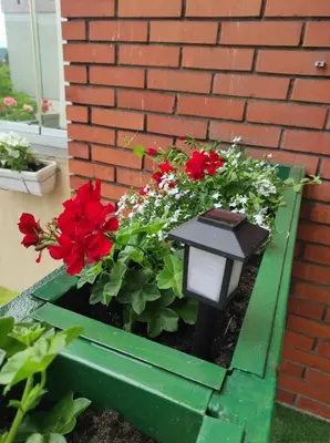 a flower box with red flowers and a light at Perfect Place in Visoko