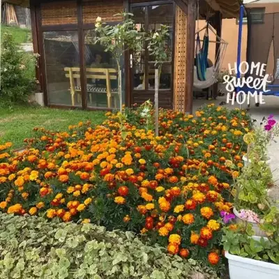 Guest House Visoko