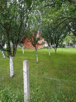a fence in a field with trees and a building at Vila Zlaja in Bihać