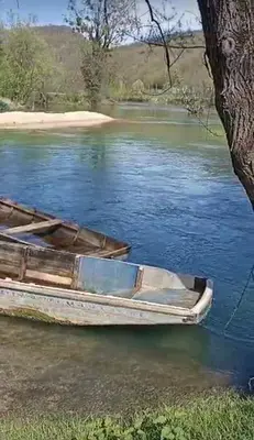 two boats tied to a tree on a river at Apartman My Choice in Bihać