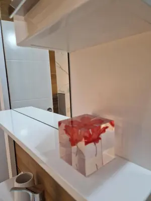 a red flower in a box on a kitchen counter at Apartmani Leburic in Prnjavor