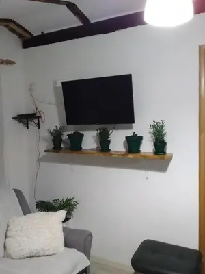 a flat screen tv on a wall with potted plants at Apartmani Primus in Bosanska Gradiška