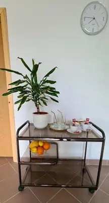a table with a potted plant and fruit on it at Prenoćište Dubravka in Livno