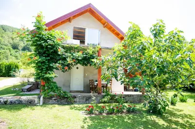 a house with two trees in a yard at Apartman Kestenovac in Orašac