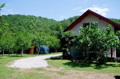 a house with a gravel road next to a tree at Apartman Kestenovac in Orašac
