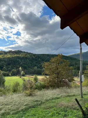 a view of a field of grass and trees at Un Rio Sana in Gornji Ribnik