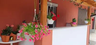 a bunch of potted flowers on a counter next to a window at Apartman Leon in Bihać
