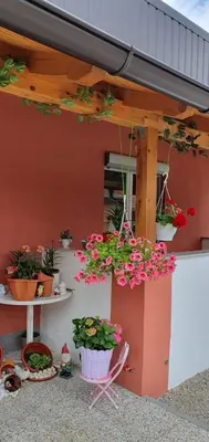 a building with potted plants on the side of it at Apartman Leon in Bihać