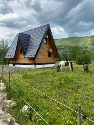 two horses grazing in a field in front of a house at Bungalow Jajce 2 in Jezero