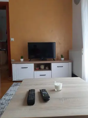 two remote controls sitting on a table in front of a tv at Stan na dan Modriča in Modriča