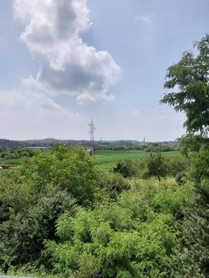 a view of a field with bushes and trees at Stan na dan Modriča in Modriča