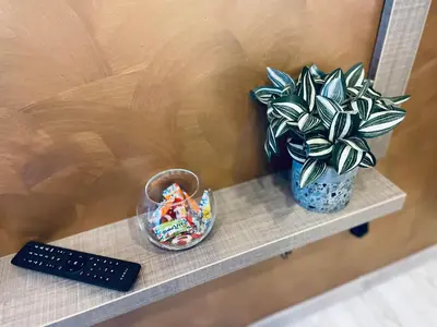 a remote control and a potted plant on a shelf at Apartmani Kotor Varoš in Donja Varoš