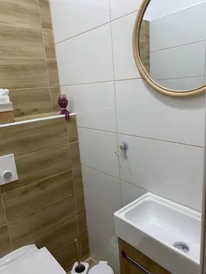 a bathroom with a toilet and a mirror at Apartman UNA-Plandište in Bihać