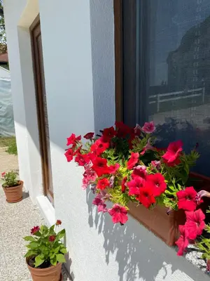 Gallery image of Hill House Emir in Bihać