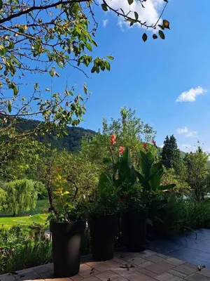 a group of potted plants sitting on a patio at Vikendica Bella in Bihać