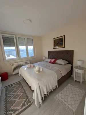 a bedroom with a large bed and two windows at Apartment Home Sweet Home in Banja Luka