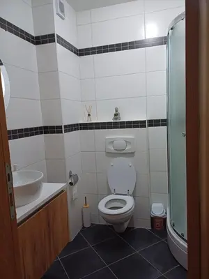 a bathroom with a toilet and a sink at Apartman 