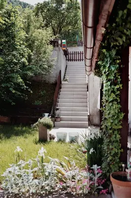 a set of stairs with flowers in the grass at Holiday Home Casa Rondo in Bihać