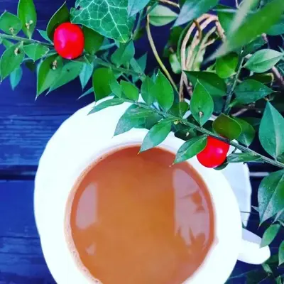 a cup of coffee with a branch of a plant at Holiday Home Casa Rondo in Bihać