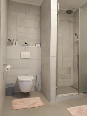 a bathroom with a toilet and a shower at MLK Diamond Apartments in Starčevica