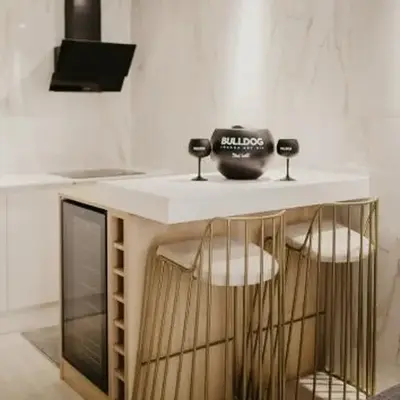 Luxury Apartment