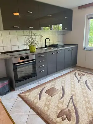 a kitchen with stainless steel appliances and a rug on the floor at Kuća za odmor Tarik in Cazin