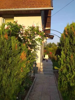 a house with a walkway with flowers and bushes at Vikendica M&M / Vacation home M&M in Visoko