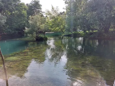 a river with trees on the side of it at Apartman 