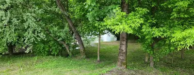 a group of trees with a lake in the background at Resort La Familia in Bihać