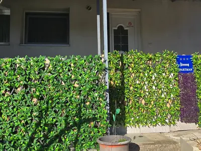 a green hedge in front of a house at Dina's house in Cazin