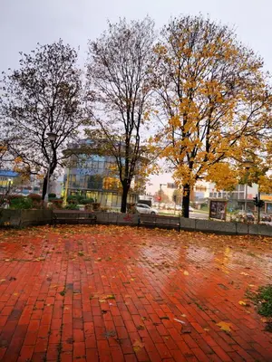 a brick courtyard with trees and a building at Luxury Apartment Tuzla in Tuzla