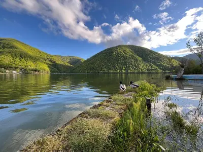 two ducks in a lake with hills in the background at Vikendica - Rajski Poluotok in Jajce